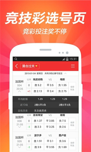 2024澳门天天开好彩大全app,关于澳门天天开好彩大全app的探讨与警示