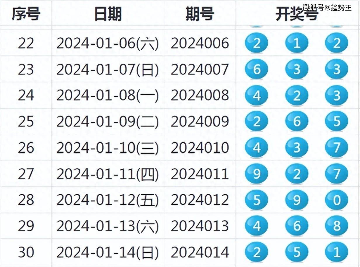 2024年新奥特开奖记录,揭秘2024年新奥特开奖记录，背后的故事与期待