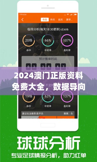 2024新澳门王中王正版,探索新澳门王中王正版，未来的机遇与挑战