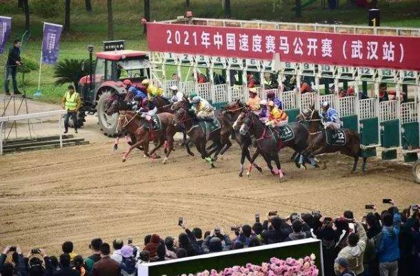 澳门今晚上开的什么特马,澳门今夜的特马盛宴，探索赛马文化与传统魅力