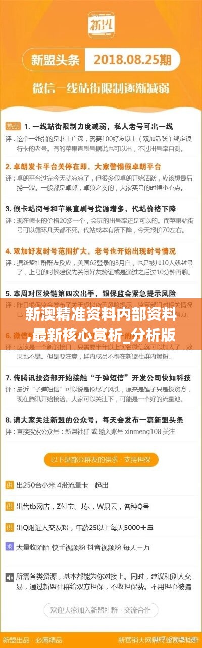 新澳精准资料期期精准,新澳精准资料期期精准，揭秘精准资料的重要性与策略