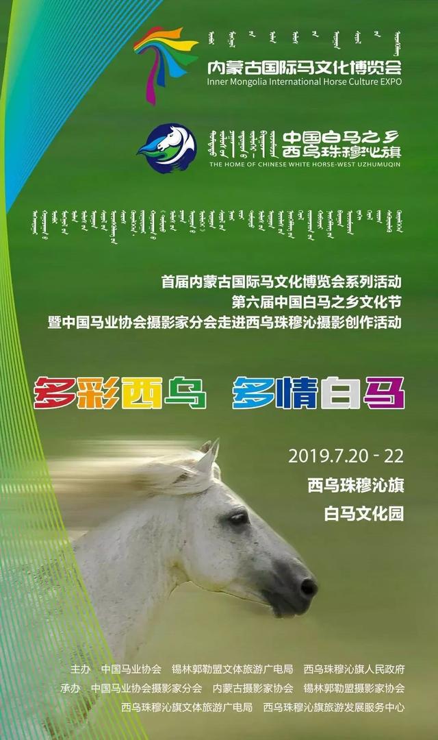 2024今晚香港开特马开什么六期,探索香港特马文化，六期特马展望与体验