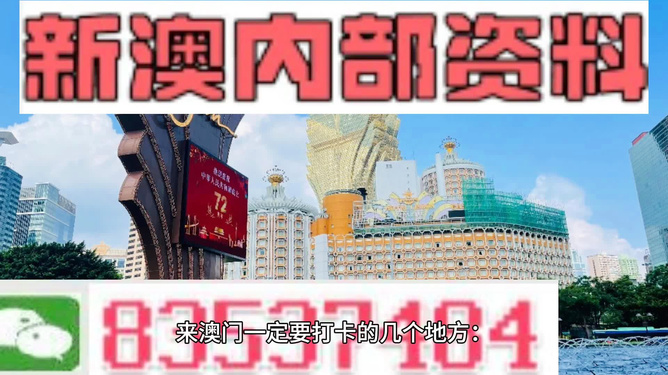 2024新澳精准正版资料,揭秘2024新澳精准正版资料，探寻背后的故事与意义