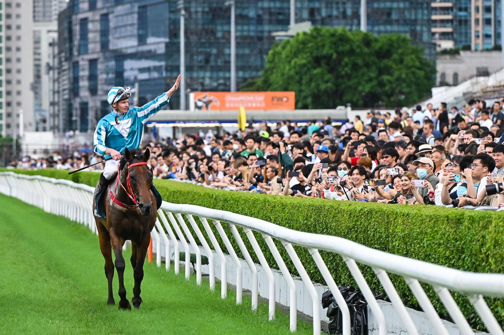 930香港马精准资料,香港赛马，探索精准资料的魅力与策略——以930赛马为例