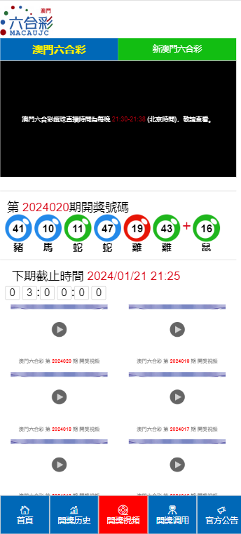 2024澳门天天开好彩大全53期,2024澳门天天开好彩大全解析——第53期展望