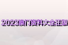 新澳门资料大全正版资料2023,新澳门资料大全正版资料2023，探索与揭秘