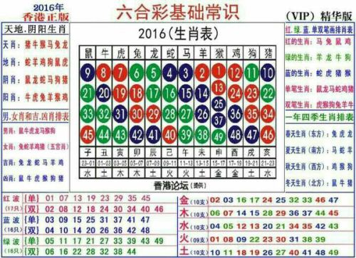 2024十二生肖49码表,揭秘2024十二生肖与数字彩票的奇妙联系——49码表中的生肖解码