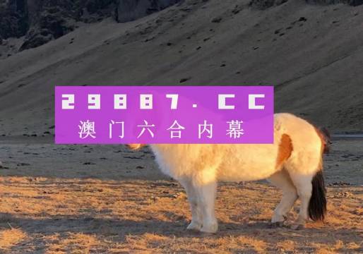 2024澳门正版免费码资料,探索澳门正版免费码资料的世界，2024年的新篇章