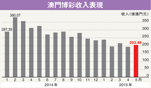 澳门今晚特马开什么号,澳门今晚特马开什么号——探索澳门彩票的魅力与神秘