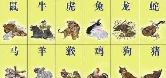 一肖一码,一肖一码，探索数字与生肖的奥秘