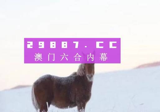 新澳门4949正版大全,新澳门4949正版大全，探索数字世界的奥秘与魅力