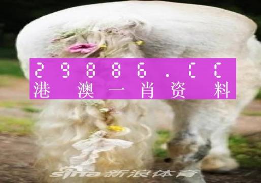 澳门正版免费全年资料140期 01-02-10-30-36-37S：29,澳门正版免费全年资料解析，第140期资料详解与探索（关键词，01-02-10-30-36-37S，29）